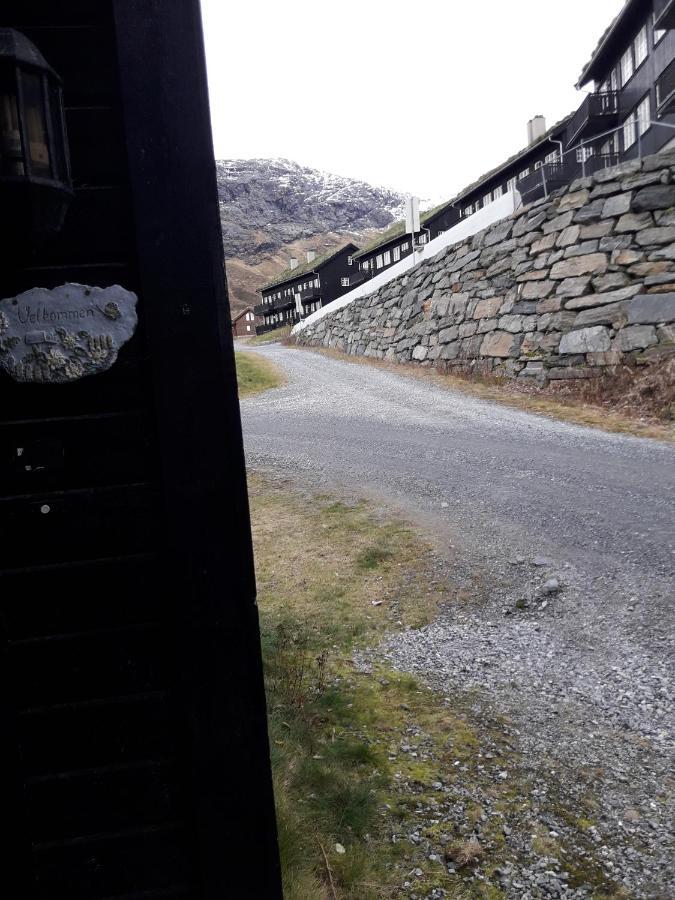 Apartement Røldal Alpingrend Bagian luar foto
