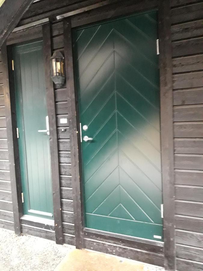 Apartement Røldal Alpingrend Bagian luar foto